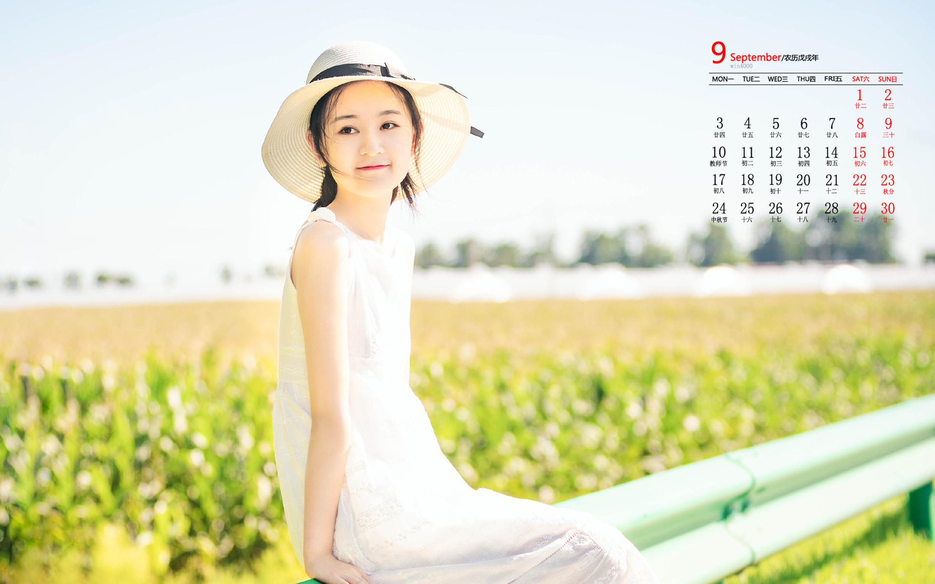 9月5日好莱坞会员分享